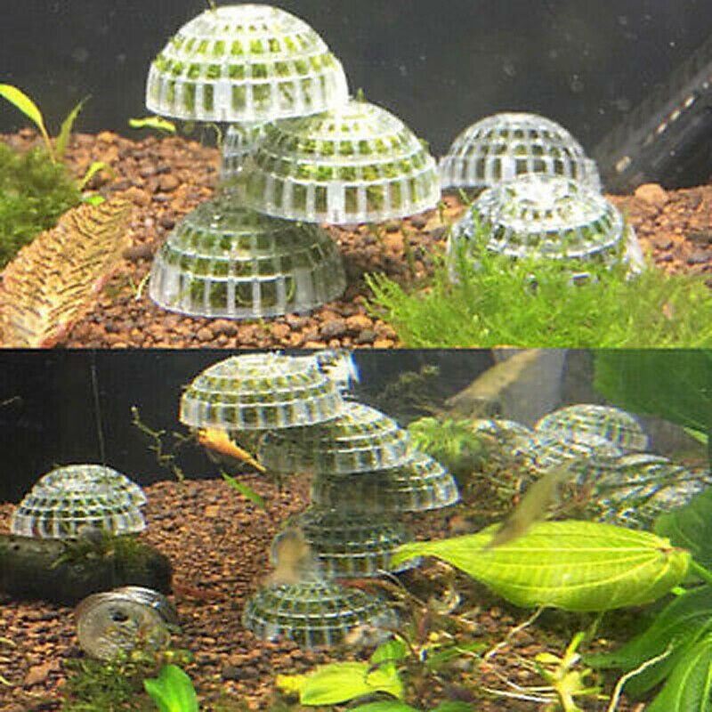 Akvariefisk reker tank media mose ball bo plante filter filtrering krystall rød reker vannplanter dyrking husverktøy