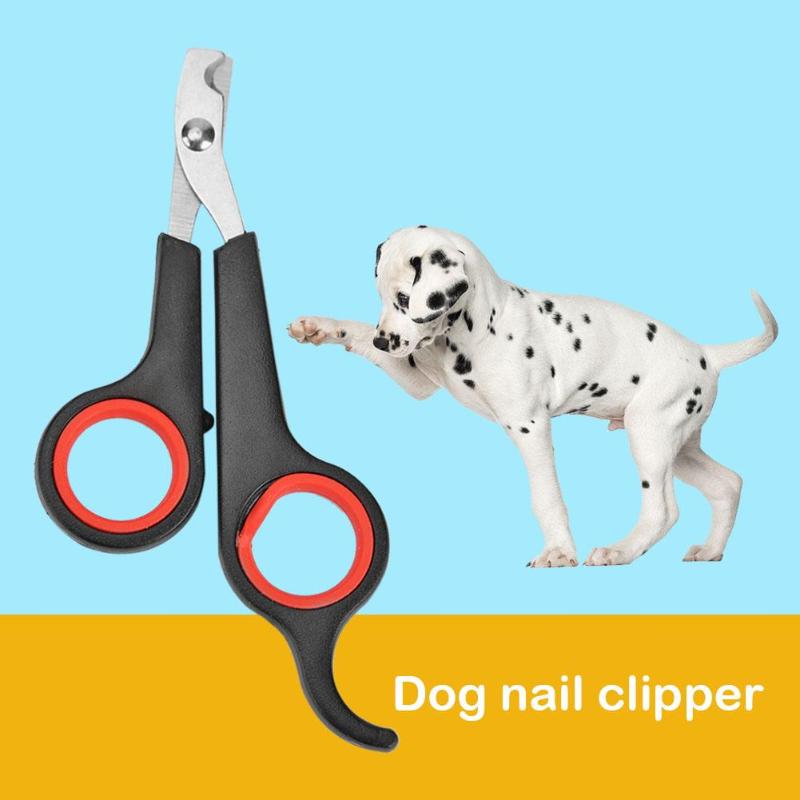 Kæledyr hund katte fugletå klo saks clippers rustfrit stål pleje negleklipper saks hund negl trimmer skåret søm