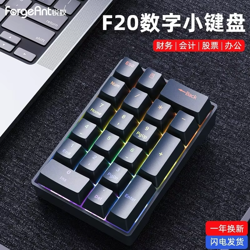Forgeant F20 Keypad Mini Wired Numeric 20Keys External Keypads Customization ABS For Pc Computer Accessories Number Pads: Pewter / blue switch