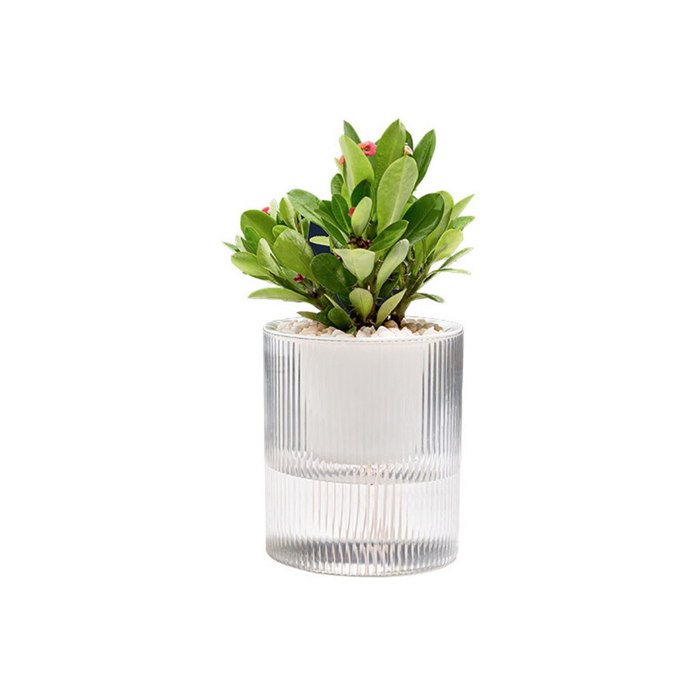 Self-watering Transparent Visual Plant Pot Automatic Water Absorption Hydroponic Pot Flowerpot For Home Garden Deco: Default Title