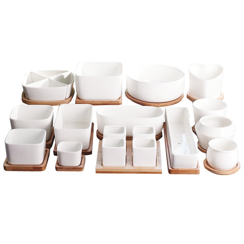 Hvid porcelæn sukkulenter potte grønne planter urtepotte med bambus bakke kontor bordplade planter kortfattet vase boligindretning