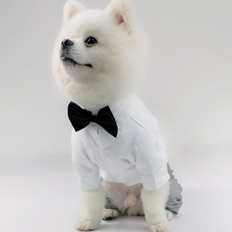 Chaleco de esmoquin para perro, traje Formal con pajarita para perros pequeños, medianos y grandes, traje de caballero para mascotas, boda, de cumpleaños