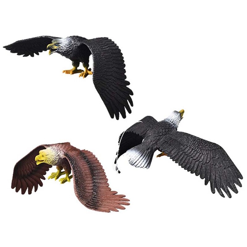 Simulatie Effen Statische Vogels Model Ornamenten Realistische Eagle Educatief Props Gxmb