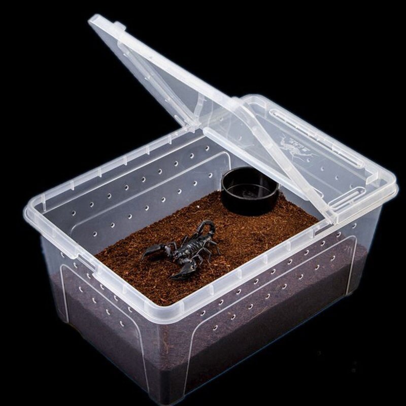 nueva caja de plástico transparente reptil de insectos transporte de cría de alimentos vivos caja de alimentación