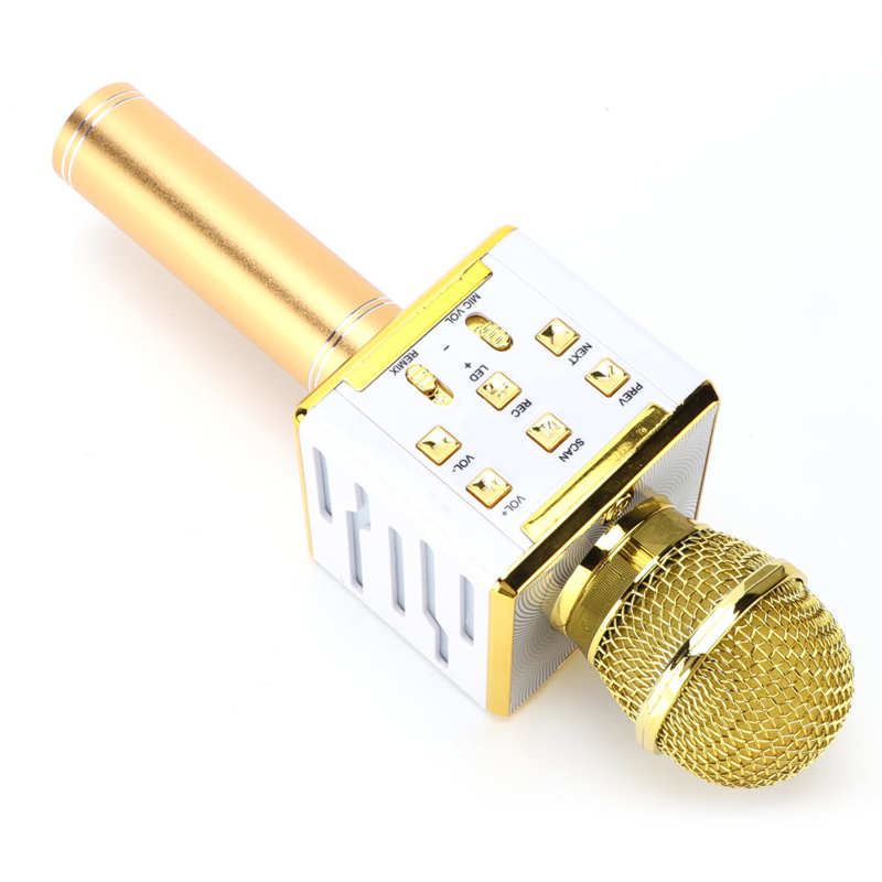 Microphone Portable sans fil, 5V DC, avec de réverbération, pour le chant