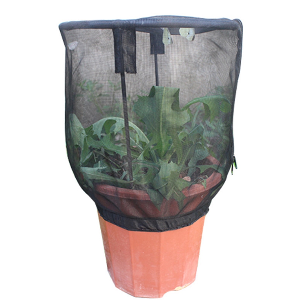 Cache Pot de fleurs pour Habitat papillon | Pare-soleil pour plantes, filet d'alimentation pour insectes auto-montant, décoration de jardin pour enfants, Portable