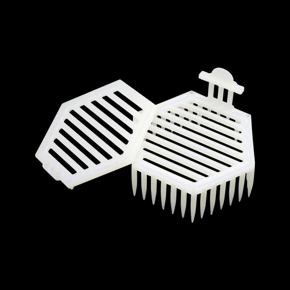 Hexagon Plastic Needle Queen Bee Cage Captivity Bee Queen for Apiculture Beekeeper Beehive 40 Pcs
