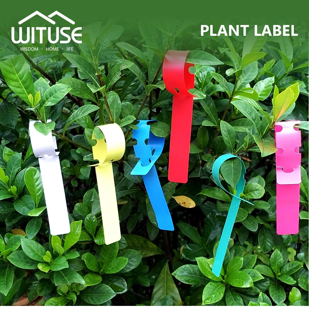Etiquetas impermeables para vivero, tipo T, cinta de 3 tipos de plástico, para flores y plantas gruesas, bandeja, Mark para herramientas de jardín, 50/100 Uds.
