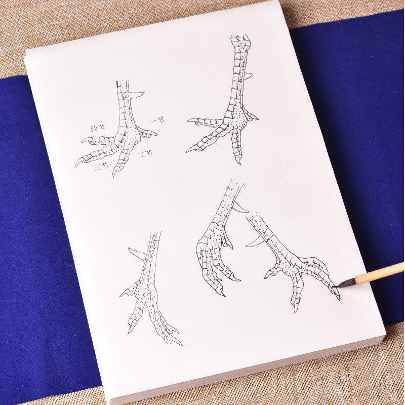 Minutieuze Tekening Manuscript Kleur Rijp Rijstpapier Kip Tekening Praktijk Voor Beginners Chinese Aquarel Schilderen Praktijk