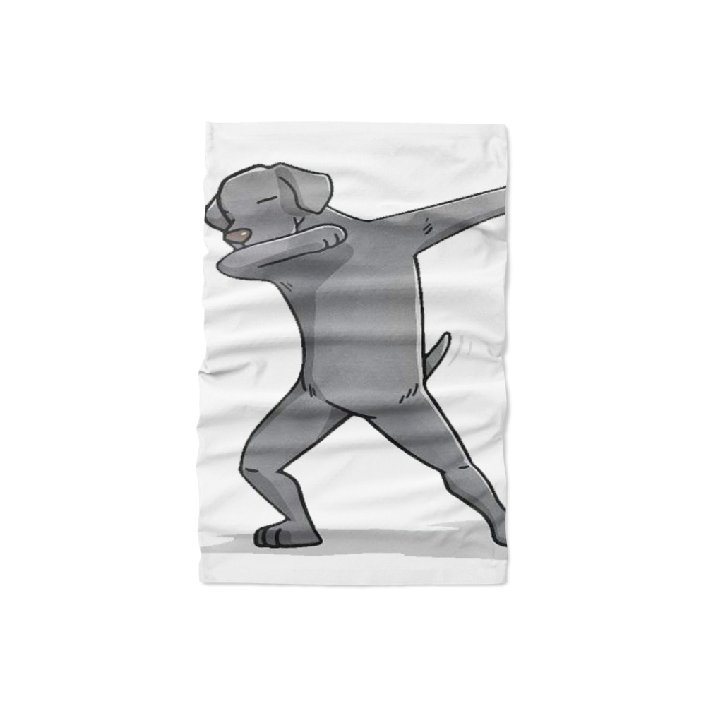 Novelty 3D Printed Scarf Outdoor Bandana Anime Print Neck Gaiters Camping Tube Bandanas Mouth Nose Protection Hiking Scarves: Style14