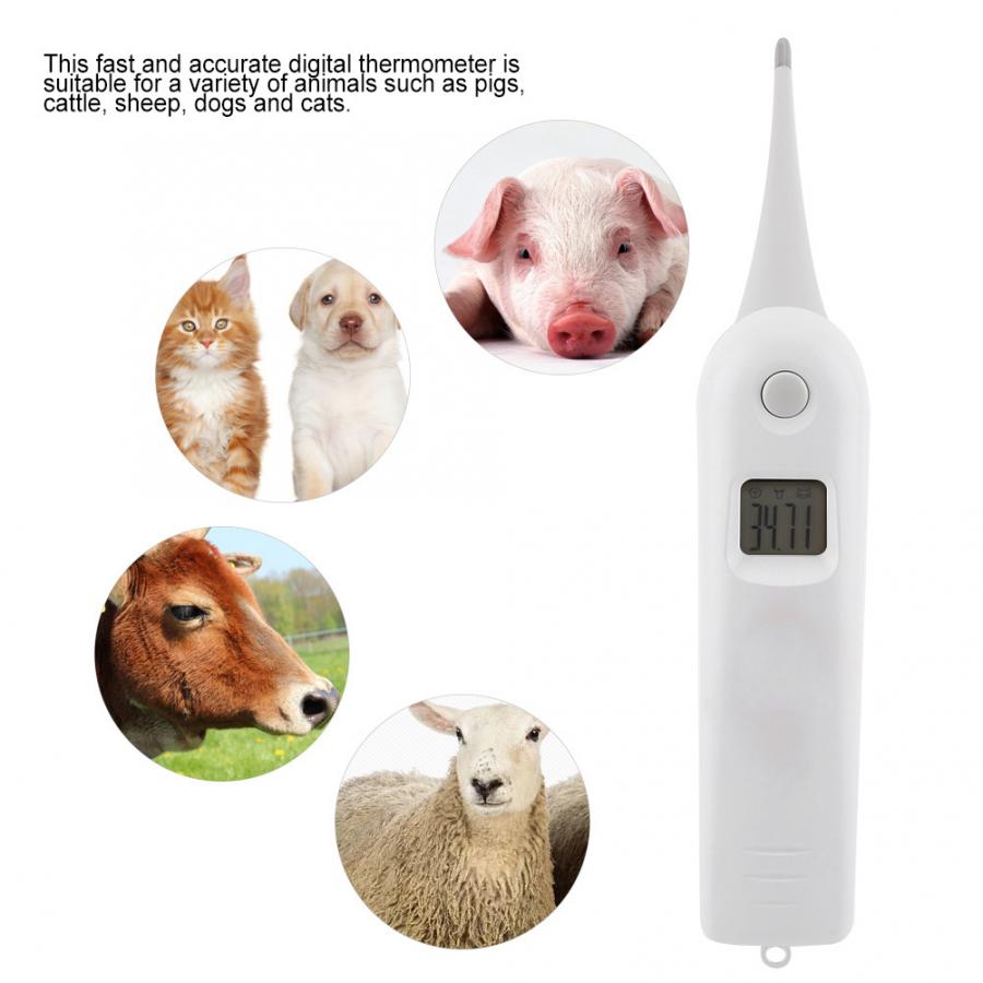 Digitale Thermometer Voor Honden Kat Varken Dieren Elektronische Thermometer Professionele Veterinaire Benodigdheden