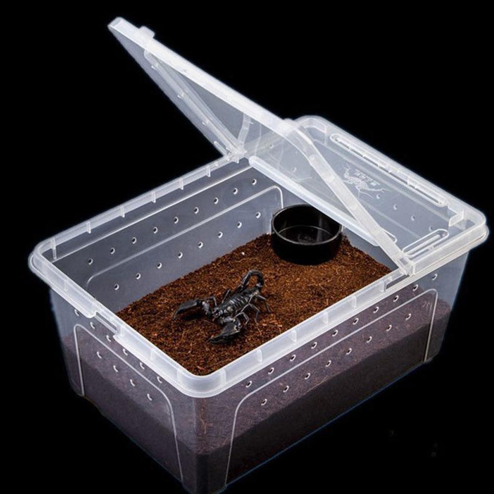 1 PCS Transparent Feeding Box Reptile Box Amphibian for Snake Cage Lizard Spider Reptile Combination: Transparent Medium