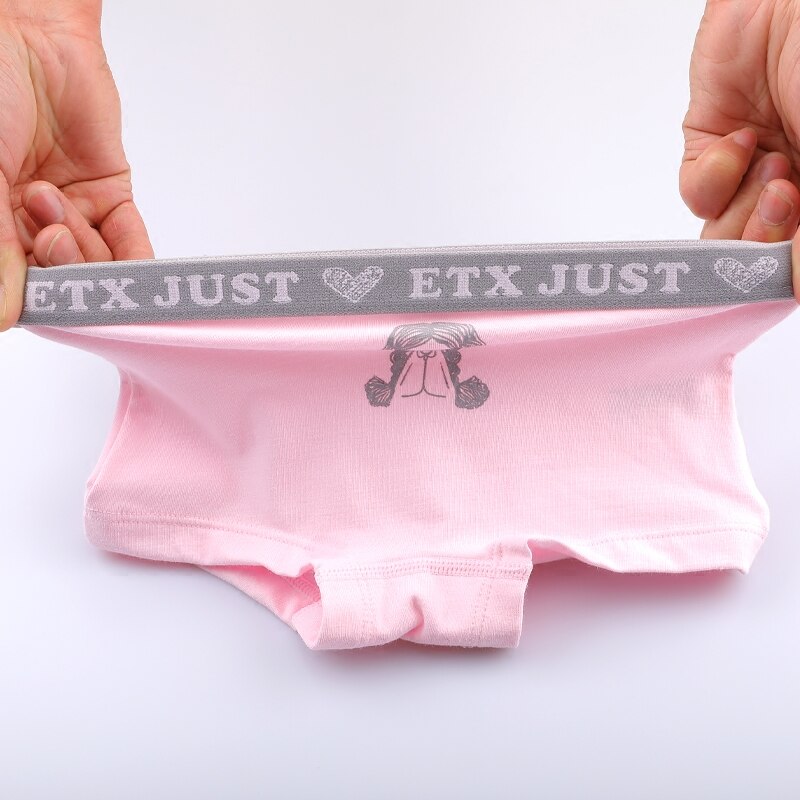 5 pezzo Dei Capretti Dei Pantaloni Della Biancheria Intima Del Fumetto di Stampa Del Bambino Mutandine E Boxer di Cotone Traspirante Shorts Adolescente Morbido Boxer Bambino Collant Vestiti di Nuovo
