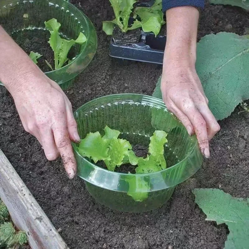 Planter sneglebeskyttelsesringe grøntsager dæksel plante sneglekrave beskyttelse grøn plantekasse skadedyrsbekæmpelse fælder haveværktøj
