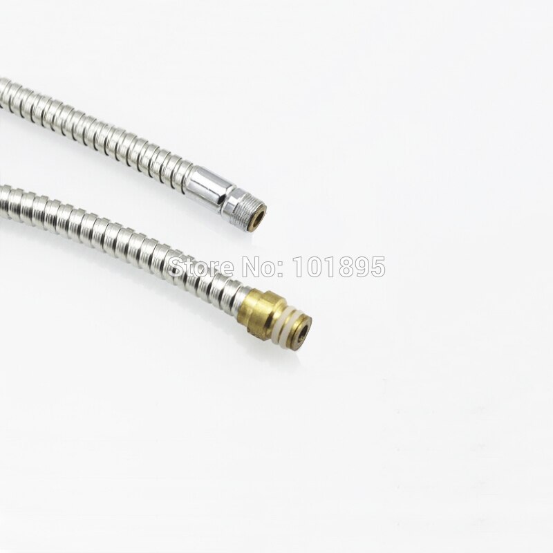 Luxury Stainless Steel Chrome Finish 6 Models Pull Out Shower Hose X18931A