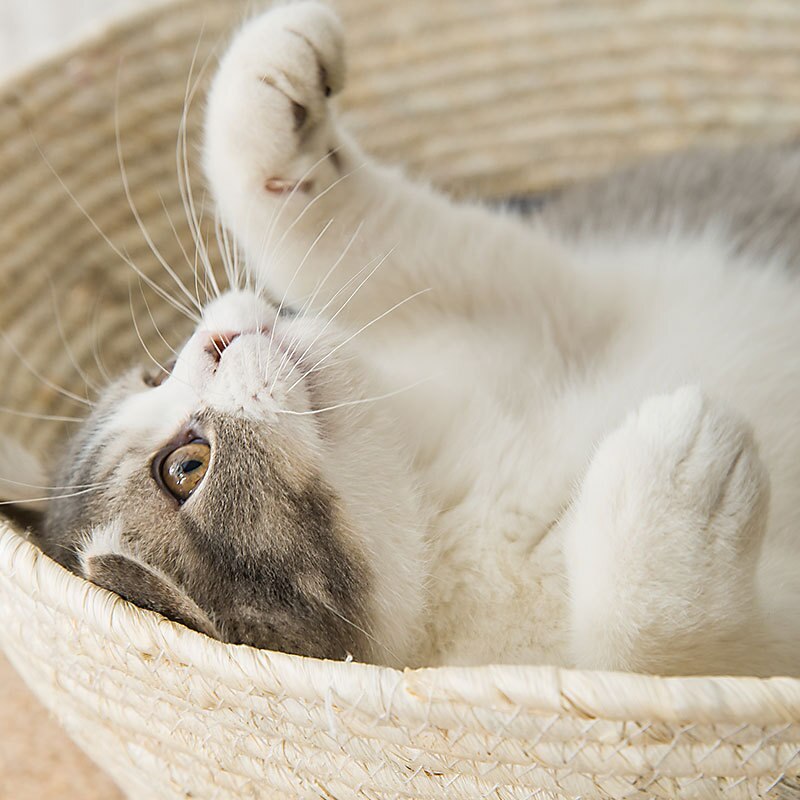 Cat litter simple rattan woven cat basket four seasons universal cool cat bed small and medium sized cat and dog woven litter