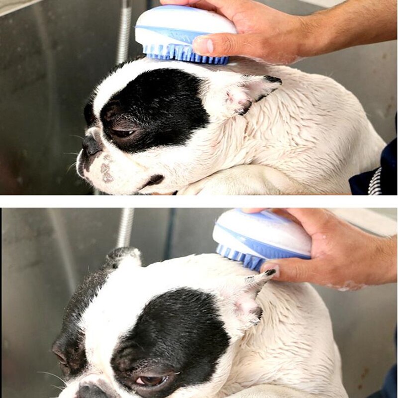 Brosse de bain en Silicone pour animaux de compagnie, peigne de Massage à tête douce pour chien et chat, avec distributeur de shampoing, lavage des cheveux, outil de nettoyage et de toilettage
