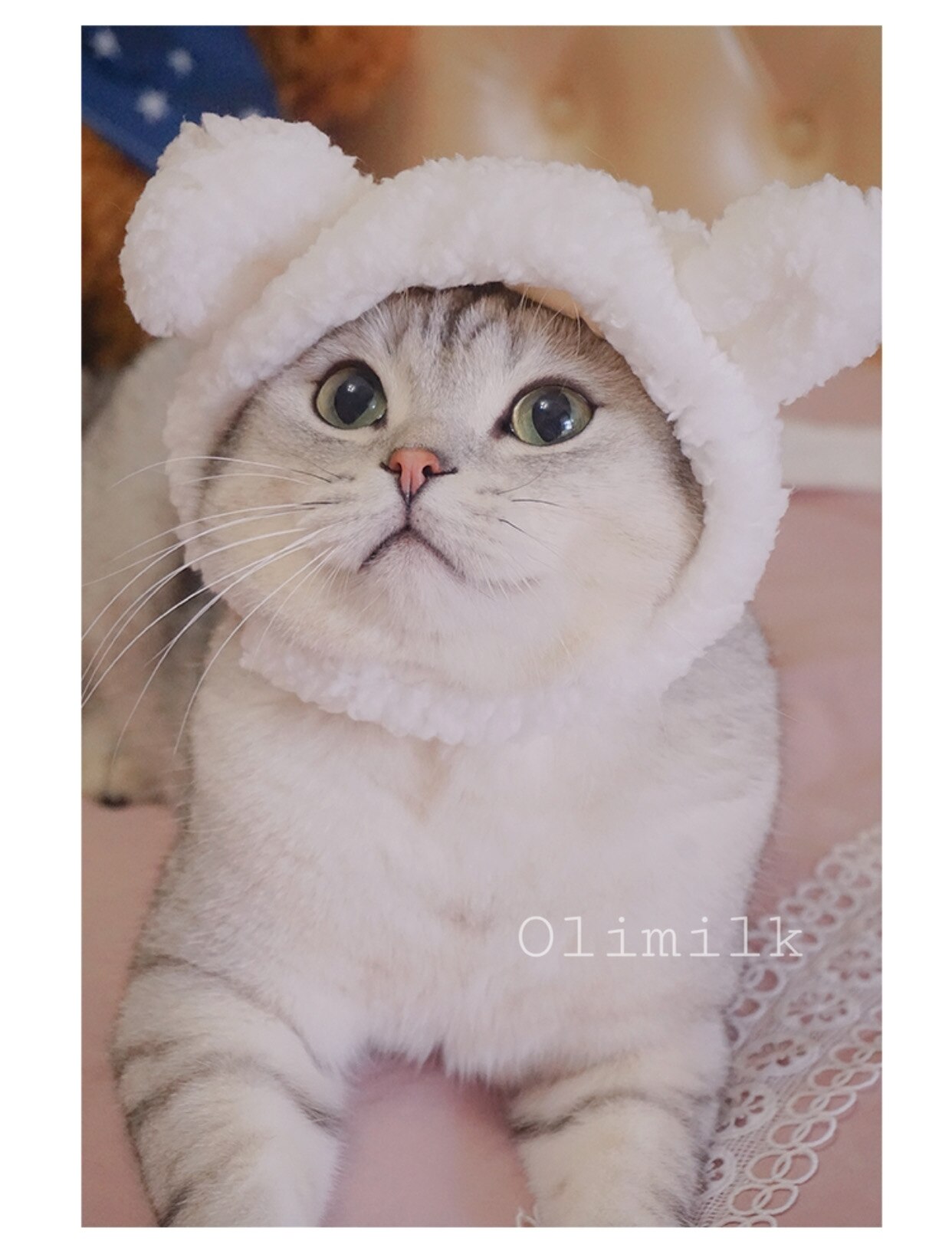 A cute bear pet hat pet dog cat hat dress up headdress puppy cat cosplay costume decoration hat