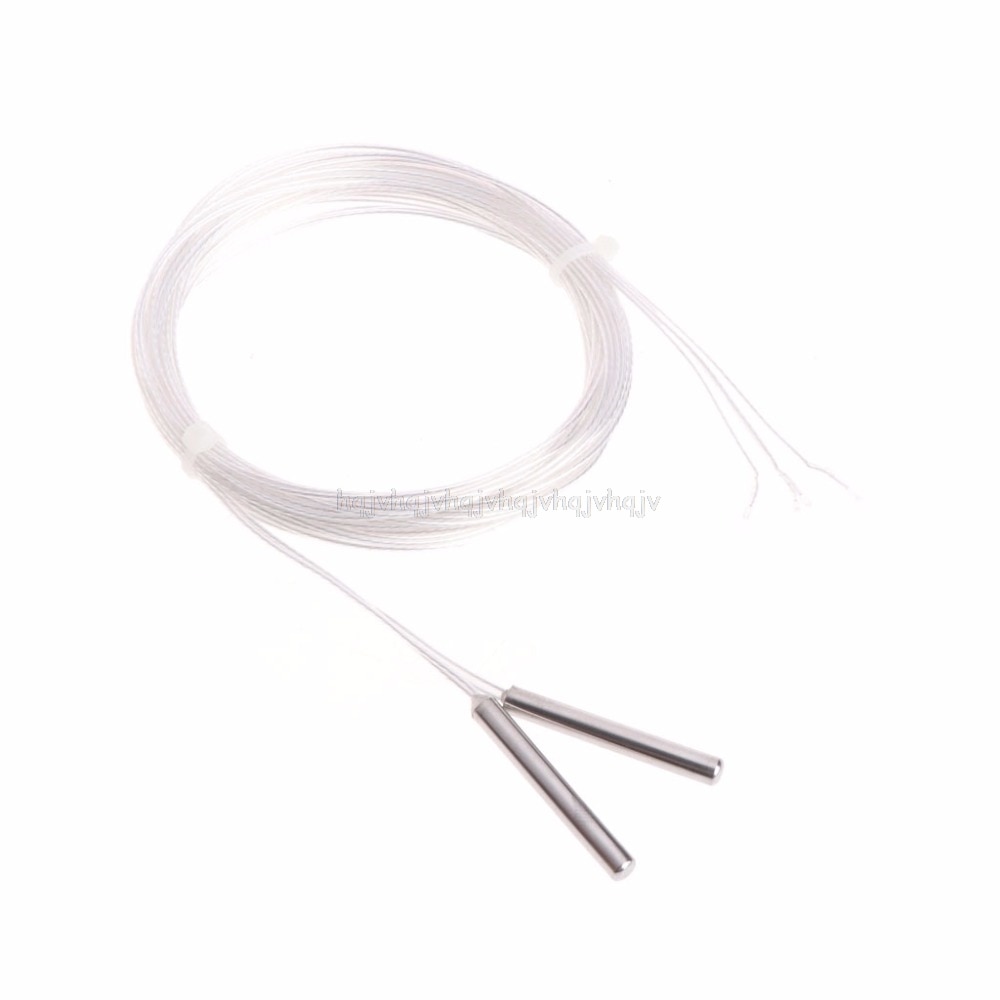 2 x PT 100 platino resistencia RTD Sensor sonda de temperatura con 5m cable N22 19