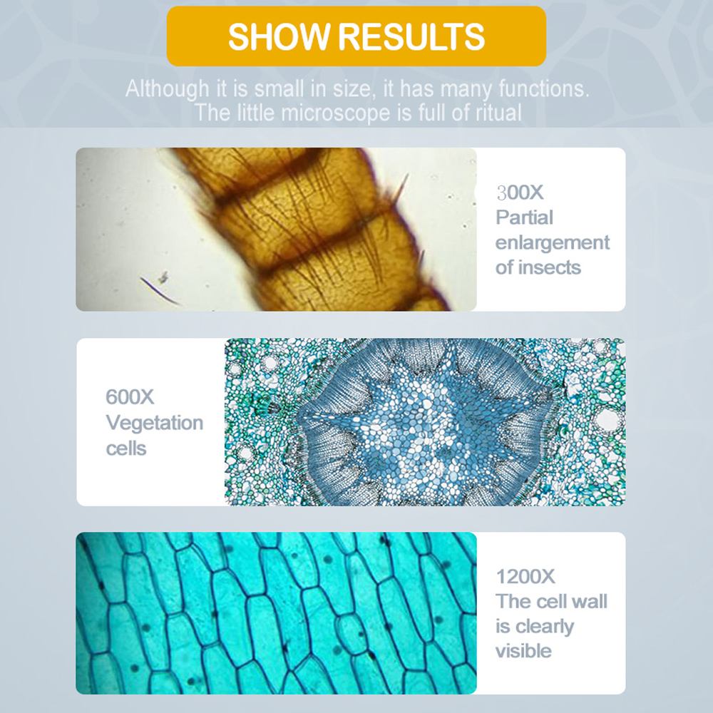 100X-600X-1200X Kids Beginner Biological Upgraded Microscope Metal Body LED/Mirror Light Source with Carrying Alloy Storage Box