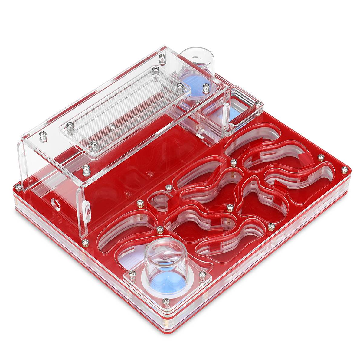 DIY Acryl Flat Ant Farm Large Ant Nest with Feeding Area Water Feeder Ant House Pet Anthill Workshop Multiple Colour: red