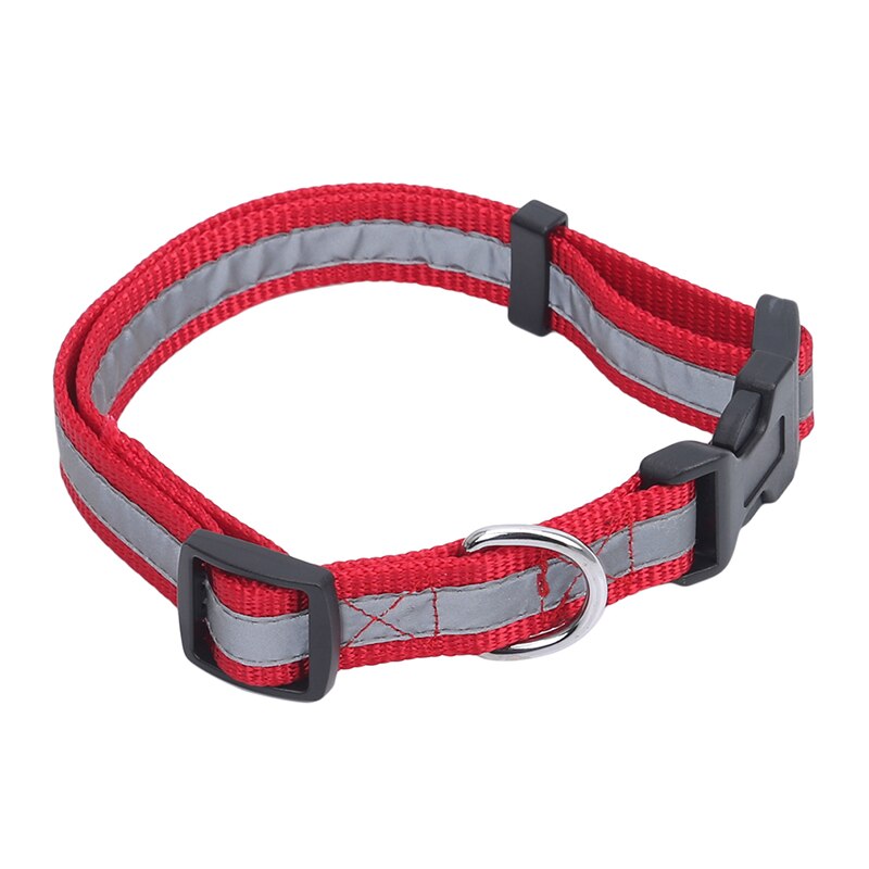 Nylon hondenhalsband voor 's nachts, knipperend, lichtgevende hondenriem voor honden, lichtgevende fluorescerende halsbanden voor huisdieren, huisdierbenodigdheden: Rood 2cm