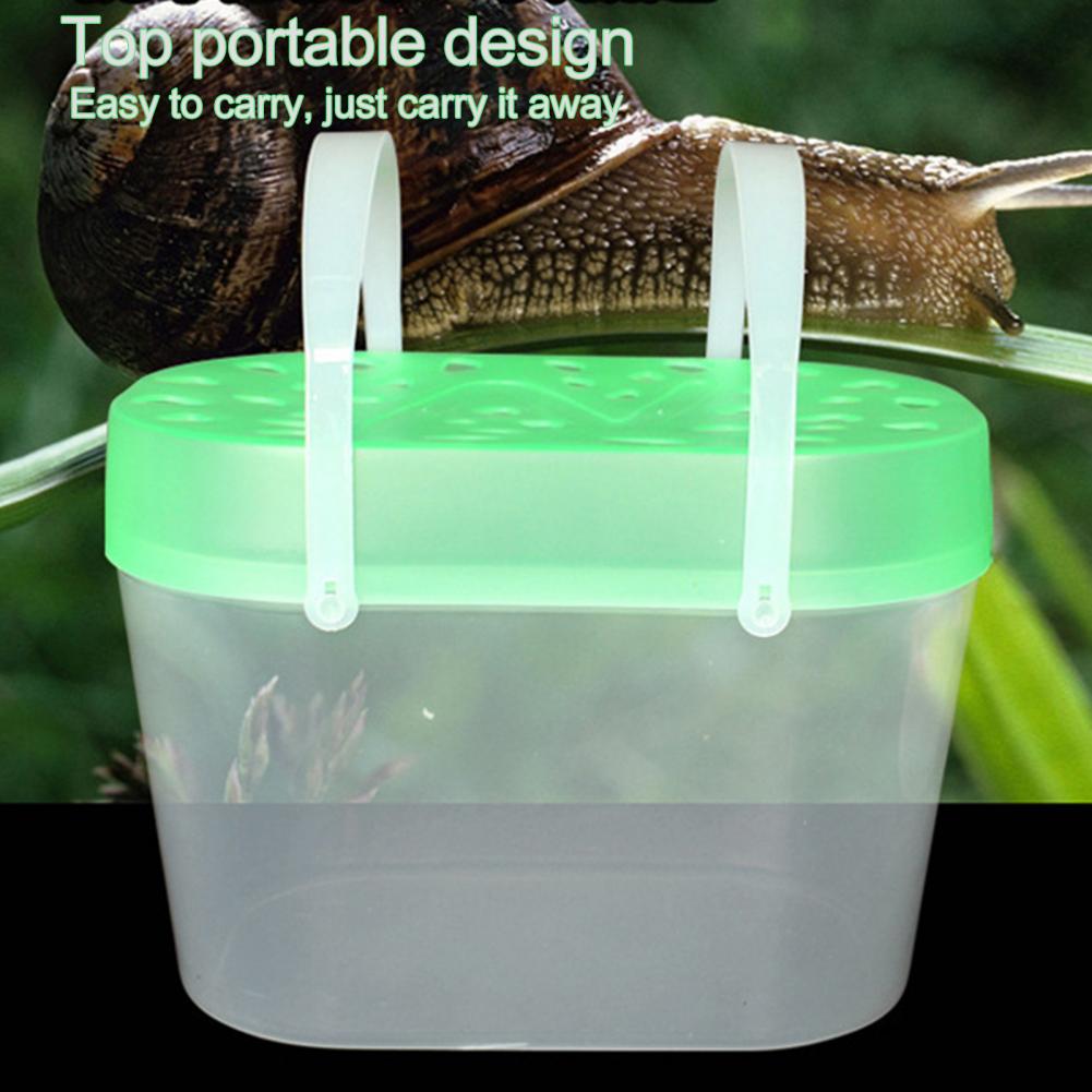 Safe Plastic Thickened Lid Fish Breeding Isolation Travel Box for Fish Tortoise Reptile Carrier Mini Fish Tank