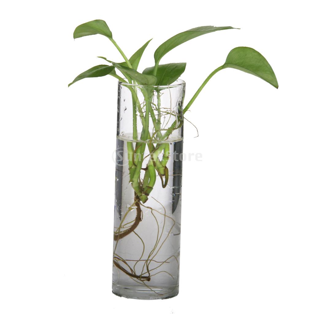 Suntek Cilinder Clear Glazen Muur Opknoping Vaas Fles Voor Plant Bloem Decoraties