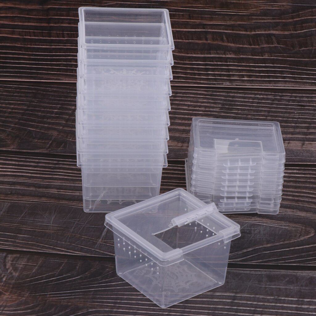 10 Pieces Plastic Reptiles Living Box Transparent Reptile Terrarium Habitat Spider Snake Transport Breeding Feeding Case