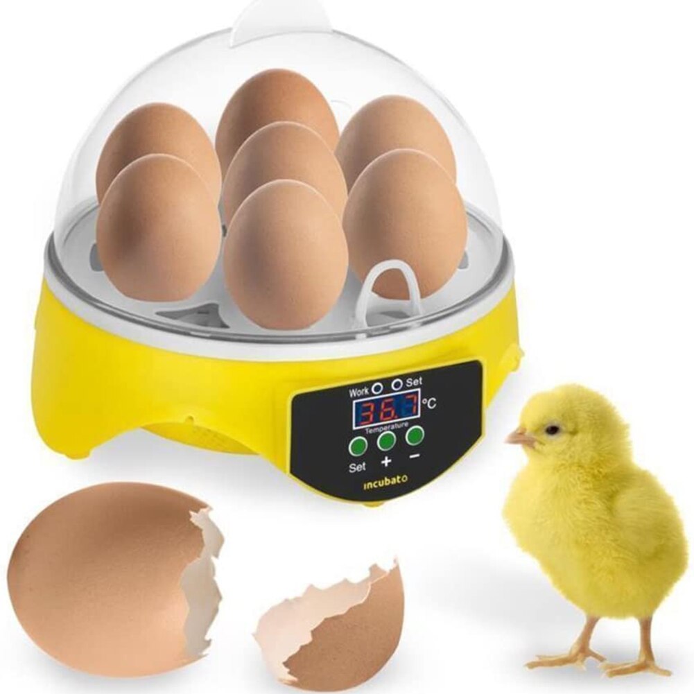 7 huevos de pollo incubadora para aves huevos Rack bandeja para incubar máquina automática de Control de temperatura inteligente de incubación Brooder