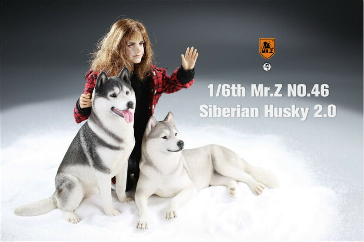 Mr.Z&amp;Xmmos 1:6 Scale Siberian Husky 2.0 Dog Pet Healing Figure Huskie Animal Model Toy Collector Decoration Kid