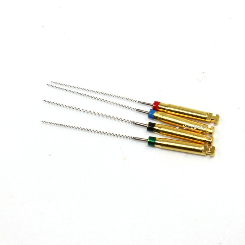 Lentulo-limas endodoncia surtidas para instrumentos dentales, 1 paquete de portadores de pasta, relleno de raíz, 29mm 25mm, espiral de canal