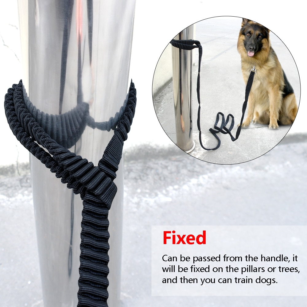 Laisse élastique en Nylon pour animaux de compagnie, longue pour le suivi des chiens, sangle antidérapante, avec poignée, entraînement à la marche, 3m 5m