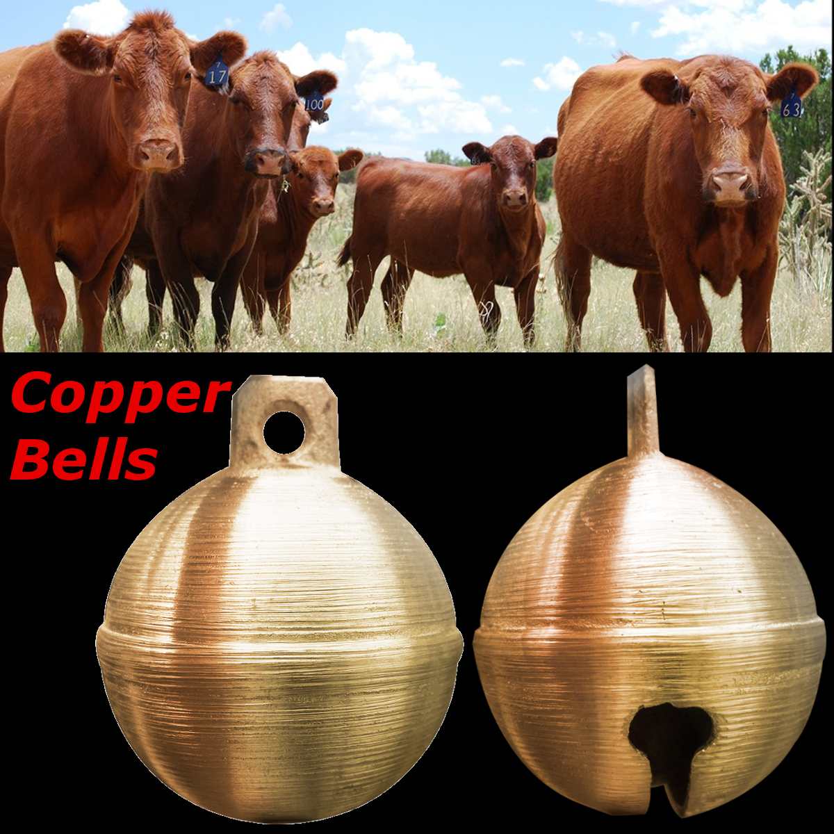 Koe Schapen Paard Koper Bells Grazen Bells Verbeterde Vee Veeteelt Koperen Bel Geluid Luid Koe Koperen Bel