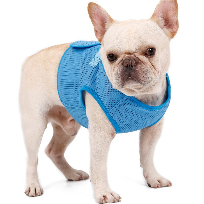 Hond Harnas Ademend Mesh Licht Gewicht Hond Harnas Vest voor Small Medium Hond Franse Bulldog Dagelijks Wandelen Pet Harness Zachte rood: blue / L 44-52cm chest