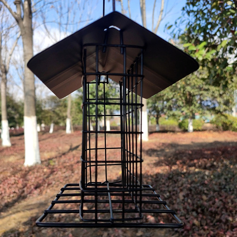 Squirrel Proof Double Suet Wild Bird Feeder with Hanging Metal Roof