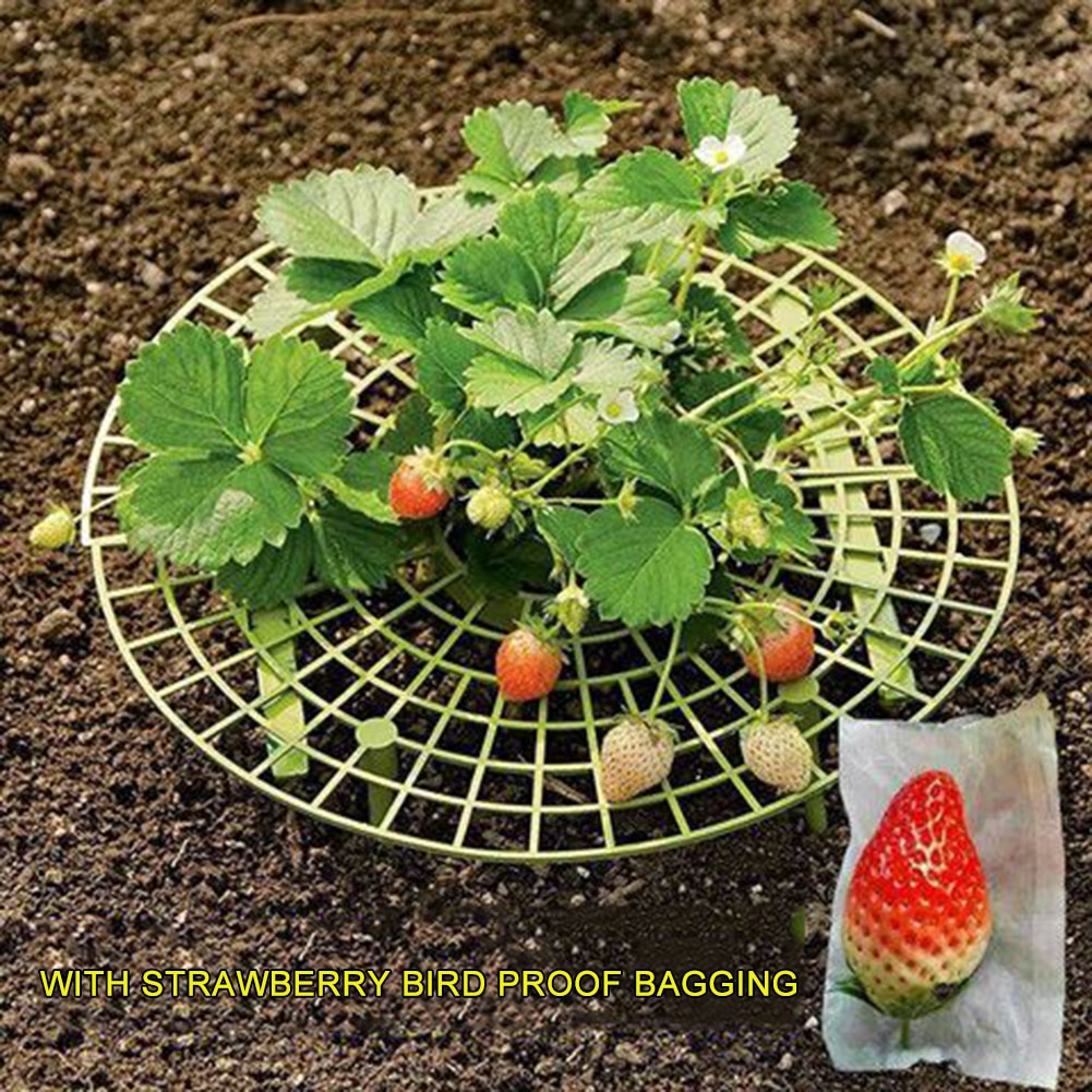 1/5/10 PCS Strawberry Stand Frame Holder Balcony Planting Rack Fruit Support Plant Flower Climbing Vine Pillar Gardening Stand