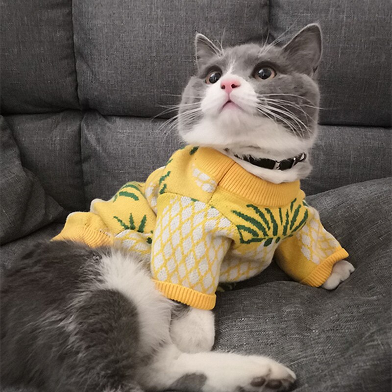 Pull de luxe à manches courtes pour chat et chien, ananas