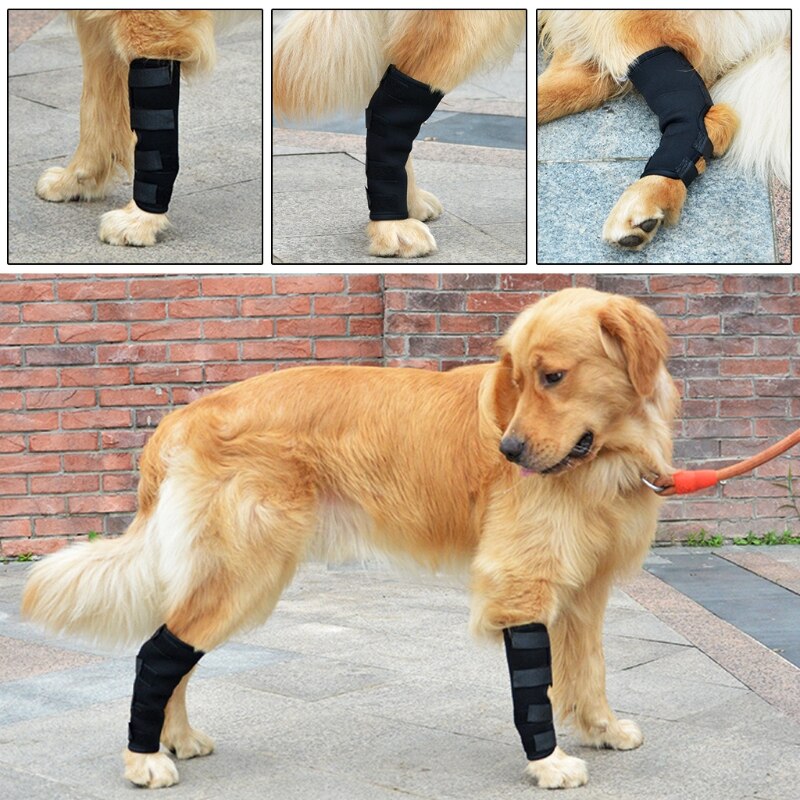 1 paire jambes orthèse animal genou jarret protecteur coussin pour chien Support thérapeutique antichoc