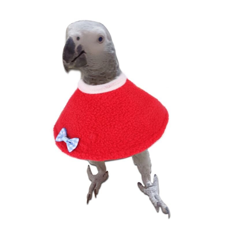 Collar de loro con cuentas protectoras para pájaros, anillo antipluma para recoger, y antiagarre antidesplume, Collar informal para roedores y pájaros