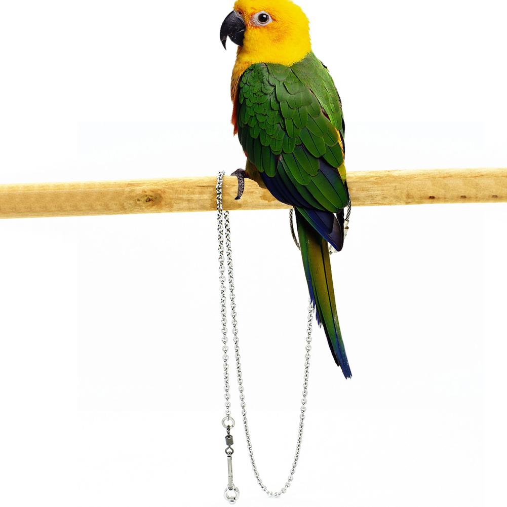 Parrot Foot Ring Anklet Stainless Steel Bird Chain Tiger Skin Starling Peony Cockatiel Pigeon Stand Open Foot Ring Buckle