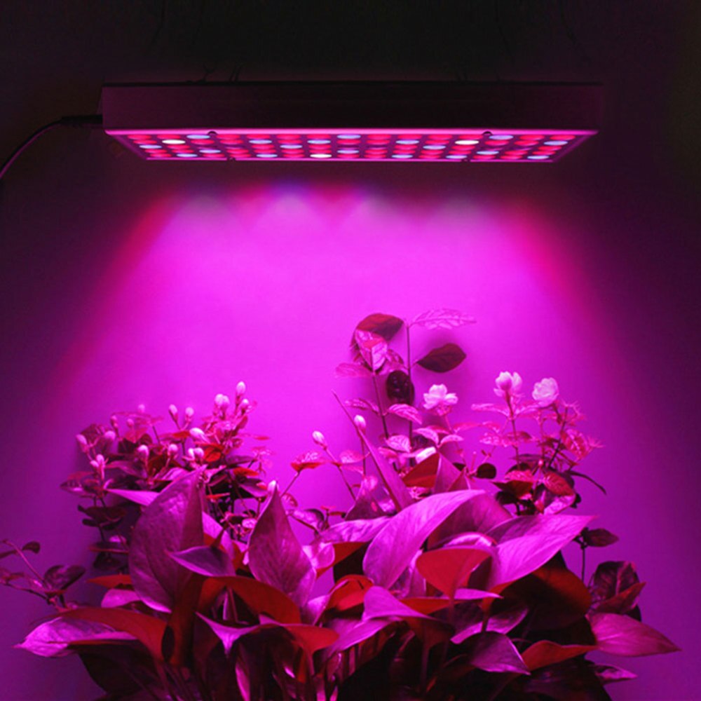LED 45W Practical LED Plant Square Grow Light Succulent Full Spectrum Lamp Greenhouse Seedling Plant Light Lamp (45W UK Plug)