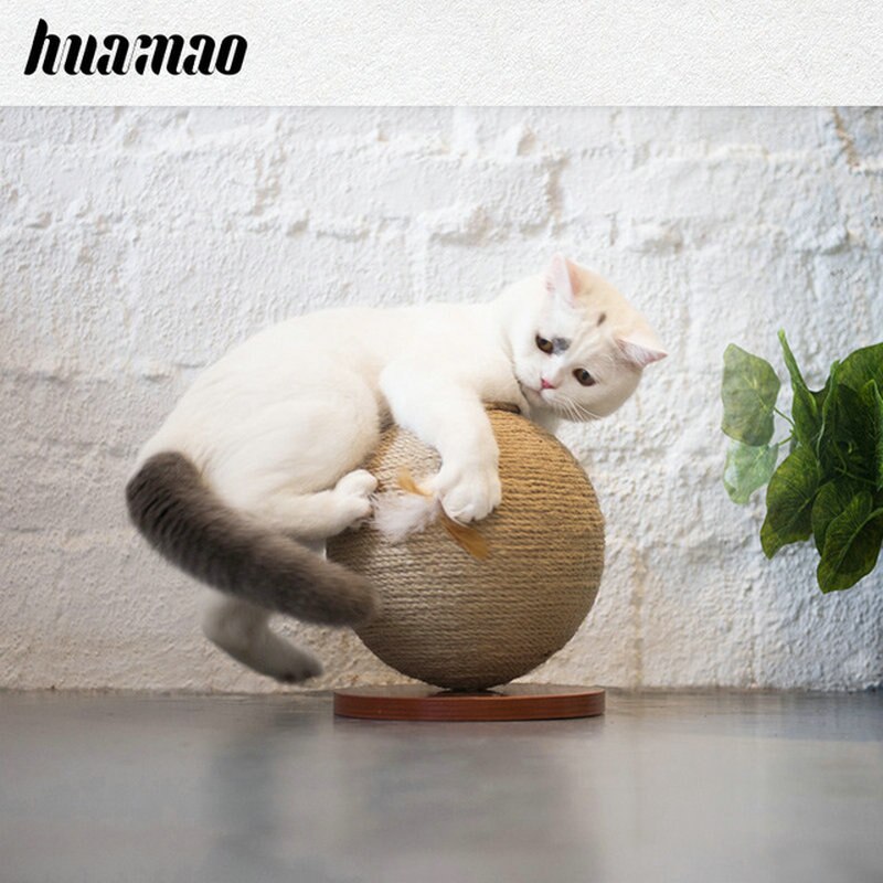 Katt skrape ball kaktus katt skrape ball, kaktus ball katt leke morsomt kjæledyr interaktivt leke skrape ball flott