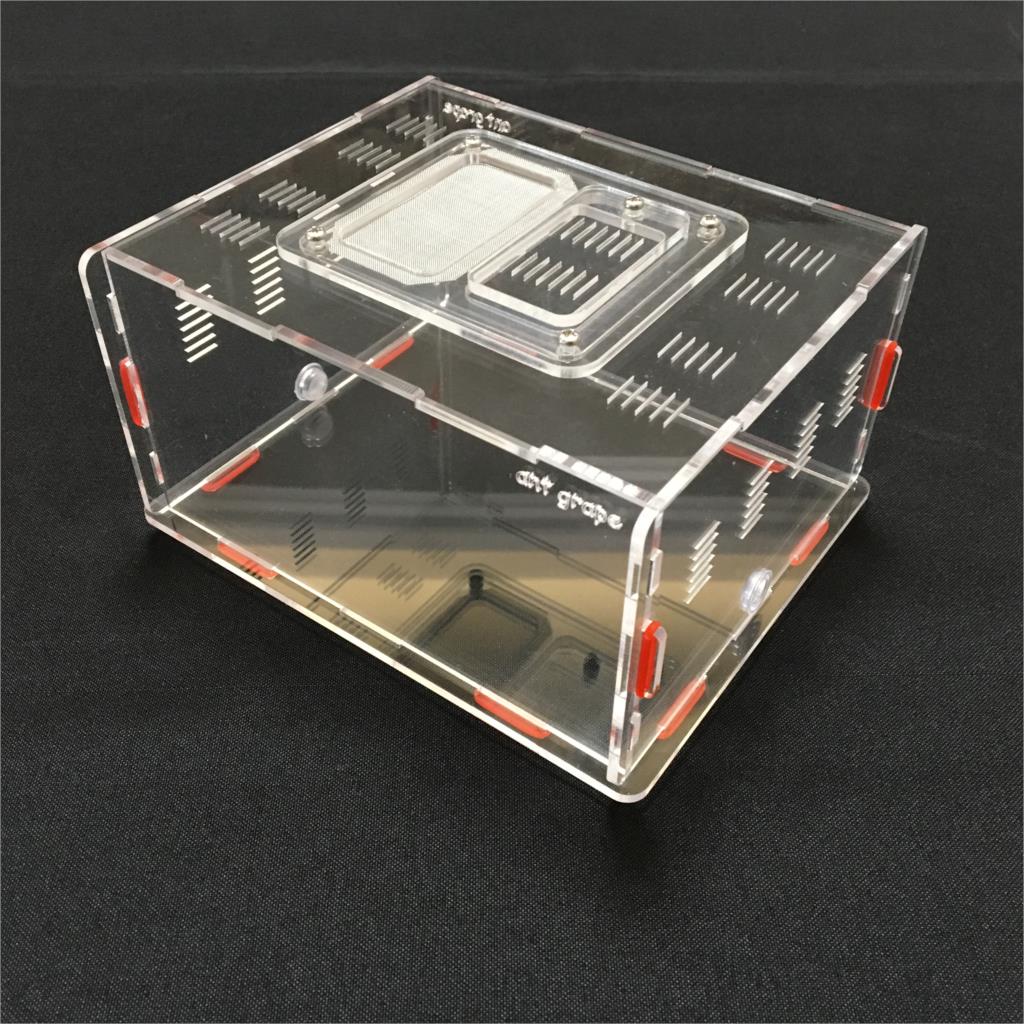 ant-grape series L size ant nest active area ,ant farm acryl, insect nests villa pet advanced mania for house ants: transparent