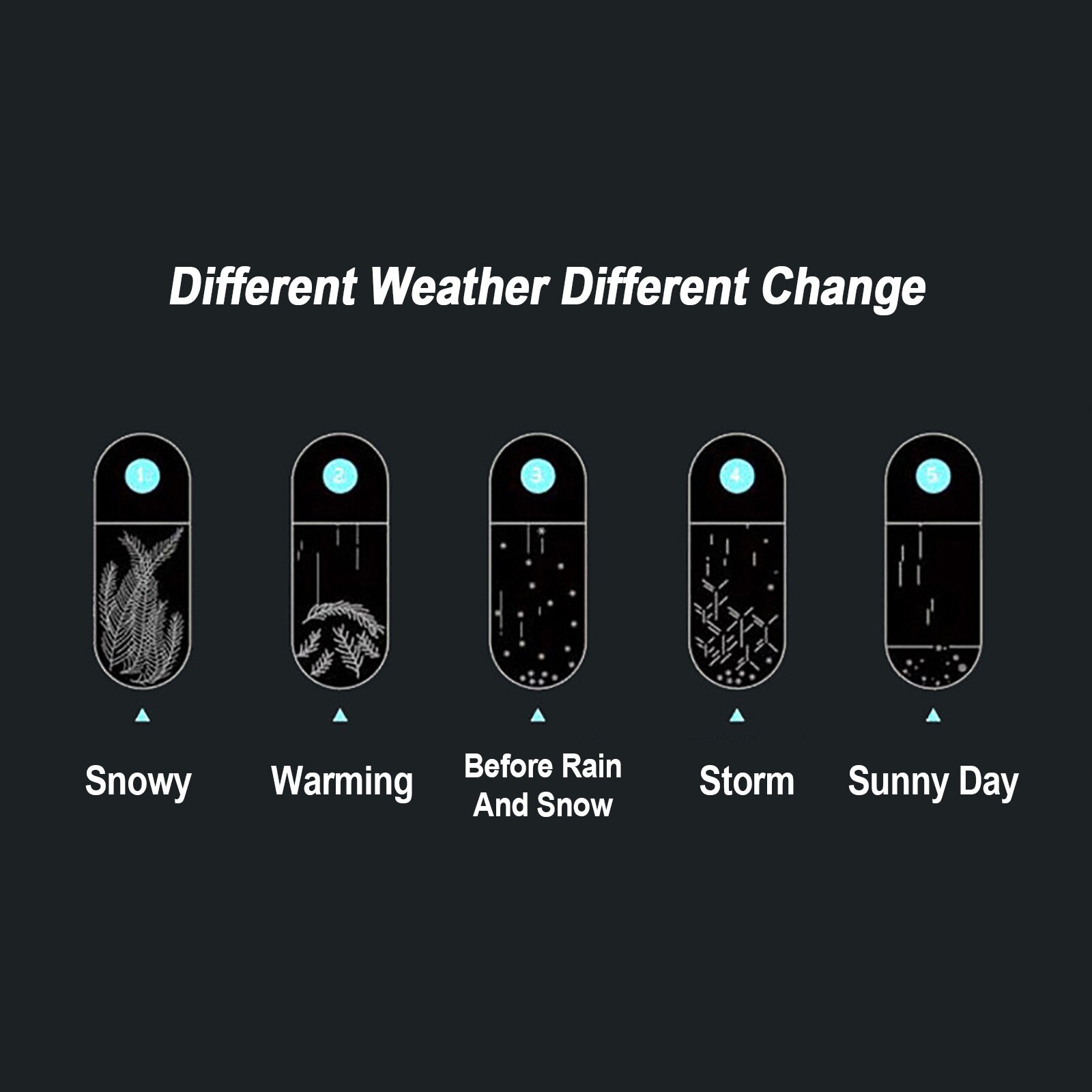 50Ml Barometer Apple Storm Glas -Vormige Storm Glas Fles Desktop Weerstation Weer Voorspeller Decor # t2G