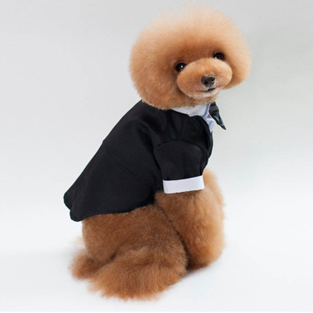 Gentleman Dog Shirt Puppy Pet Dog Clothes Pet Small Dog Cat Suit Bow Tie Costume Cat Wedding Shirt Formal Tuxedo with Black Tie