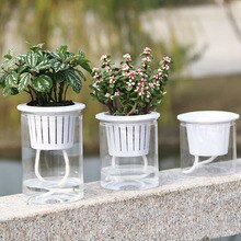Bloempot Transparante Self-Watering Plant Pot Creatieve Lui Automatische Wateropname Tuin Potten Plantenbakken Decor