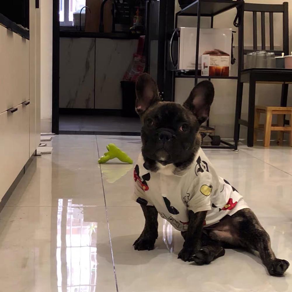 Pet Dog Shirt Cute Clothes For Small Medium Dogs Puppy Clothing Coat Costume French Bulldog Schnauzer ZJC20