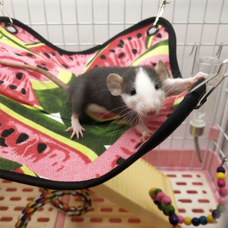 Lente Zomer Canvas Duurzaam Ademend Eekhoorn Hamster Hangmat Kleine Dieren Huisdier Kooien Opknoping Slapen Pads Huisdieren Benodigdheden