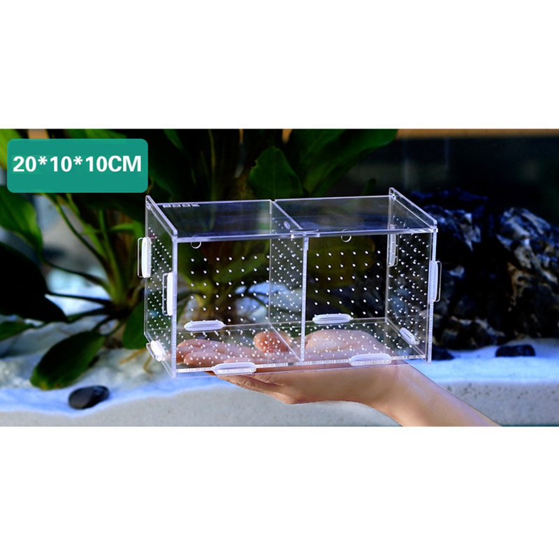Multiple Specifications Aquarium Supplies Fish Tank Acrylic Isolation Box Breeding Box Aquarium Accessories Aquatic Pet Supplies
